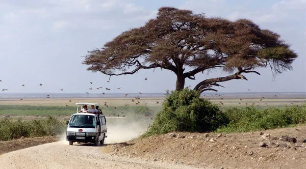 Kenya Safari Tour